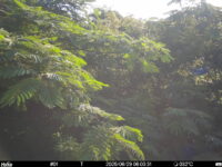 Jun 29 2025  6:00:31, #01