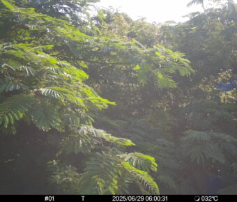 Jun 29 2025  6:00:31, #01