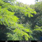 Jun 29 2025  9:00:32, #01