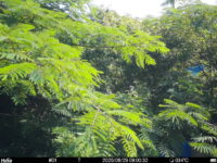 Jun 29 2025  9:00:32, #01