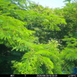 Jun 29 2025 12:00:31, #01