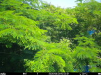 Jun 29 2025 12:00:31, #01