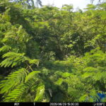 Jun 29 2025 15:00:30, #01