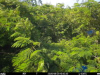 Jun 29 2025 15:00:30, #01