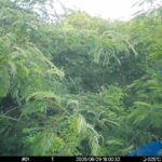 Jun 29 2025 18:00:32, #01