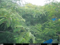 Jun 29 2025 18:00:32, #01