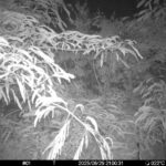 Jun 29 2025 21:00:31, #01