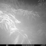 Jun 30 2025  0:00:30, #01