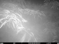 Jun 30 2025  0:00:30, #01