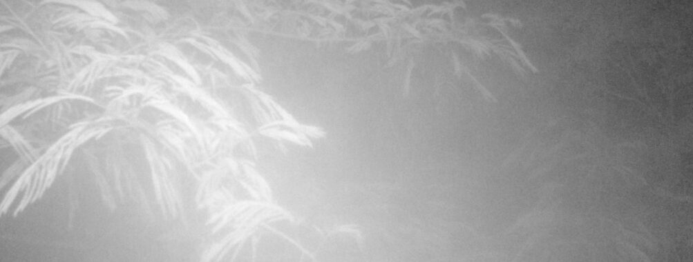 Jun 30 2025  3:00:31, #01