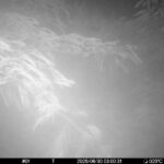 Jun 30 2025  3:00:31, #01