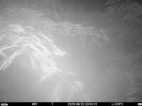 Jun 30 2025  3:00:31, #01
