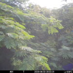Jun 30 2025  6:00:31, #01