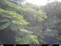Jun 30 2025  6:00:31, #01