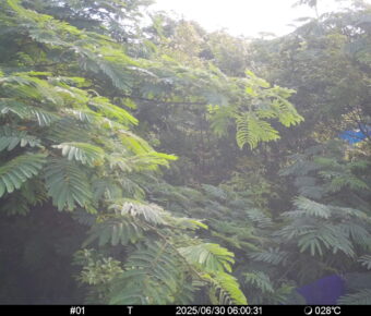 Jun 30 2025  6:00:31, #01