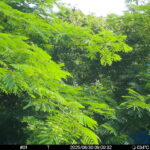 Jun 30 2025  9:00:32, #01