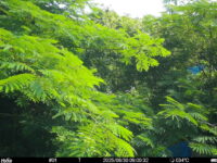 Jun 30 2025  9:00:32, #01
