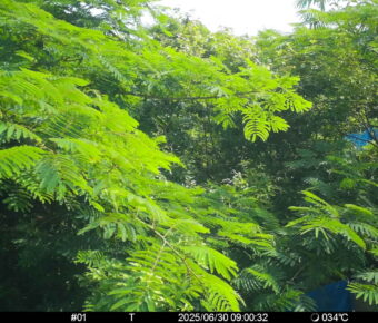 Jun 30 2025  9:00:32, #01