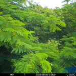 Jun 30 2025 12:00:31, #01