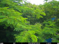 Jun 30 2025 12:00:31, #01