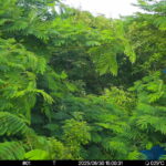 Jun 30 2025 15:00:30, #01