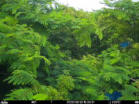 Jun 30 2025 15:00:30, #01