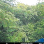 Jun 30 2025 18:00:32, #01