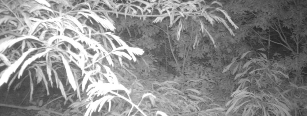 Jun 30 2025 21:00:31, #01