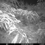 Jun 30 2025 21:00:31, #01