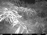 Jun 30 2025 21:00:31, #01