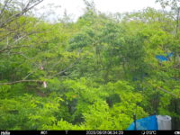 Jun 1 2025  6:34:20, #01