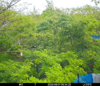 Jun 1 2025  6:34:20, #01