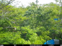 Jun 1 2025  9:34:21, #01