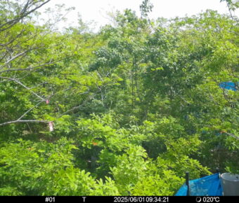 Jun 1 2025  9:34:21, #01