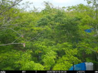 Jun 1 2025 12:34:20, #01