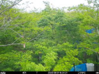 Jun 1 2025 15:34:20, #01