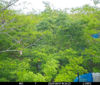 Jun 1 2025 15:34:20, #01
