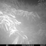 Jul 1 2025  0:00:31, #01