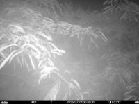 Jul 1 2025  0:00:31, #01