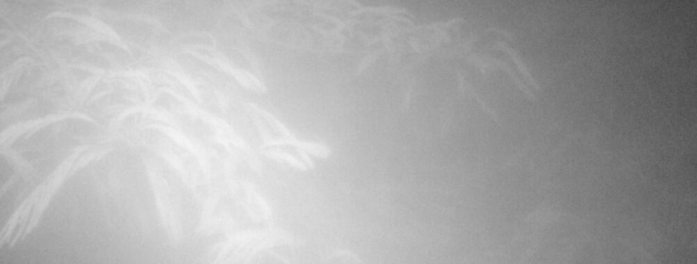 Jul 1 2025  3:00:31, #01