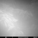 Jul 1 2025  3:00:31, #01