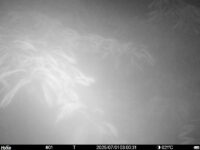 Jul 1 2025  3:00:31, #01