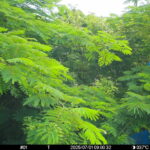 Jul 1 2025  9:00:32, #01