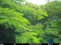 Jul 1 2025  9:00:32, #01