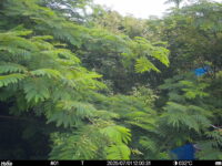Jul 1 2025 12:00:31, #01