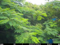 Jul 1 2025 15:00:32, #01