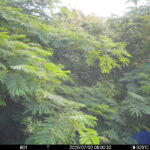 Jul 2 2025  6:00:31, #01