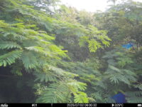 Jul 2 2025  6:00:31, #01