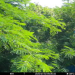 Jul 2 2025  9:00:32, #01