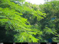 Jul 2 2025  9:00:32, #01